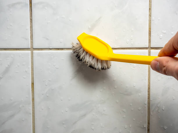 Best Mold Cleaning Services  in Randallstown, MD
